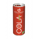 Gazuotas gėrimas COLA, ekologiškas (250ml)